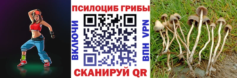 Галлюциногенные грибы ЛСД  mega   Благодарный 