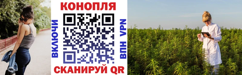 Бошки Шишки Amnesia  Благодарный 